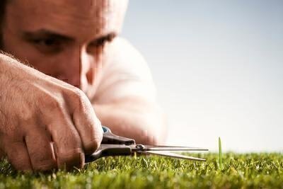 Do Lawn Care Services Know What They're Doing? image
